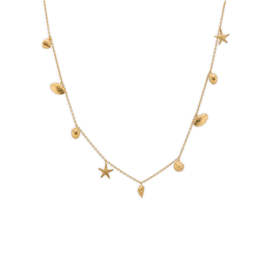 GOLD Shells Necklace