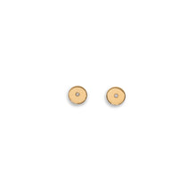Load image into Gallery viewer, Flat Earrings with Zirconia
