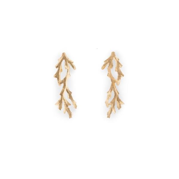 OURO Brincos Coral