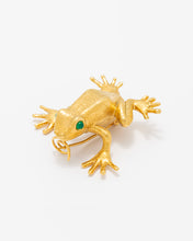 Load image into Gallery viewer, Frog Pin
