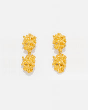 Carregar imagem no visualizador da galeria, Brincos Coral Amalgama Duplo
