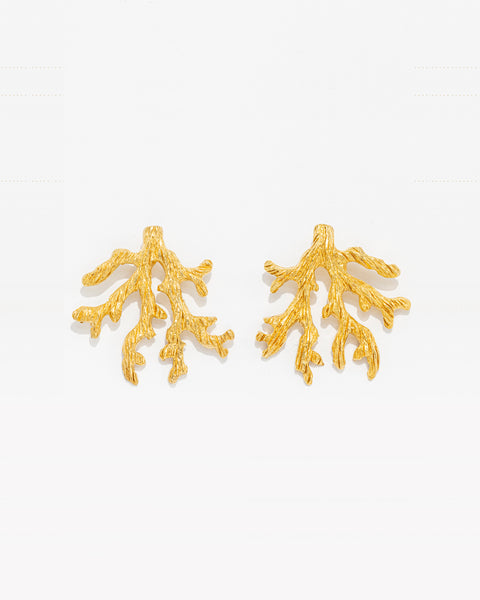 Brincos Coral Forma
