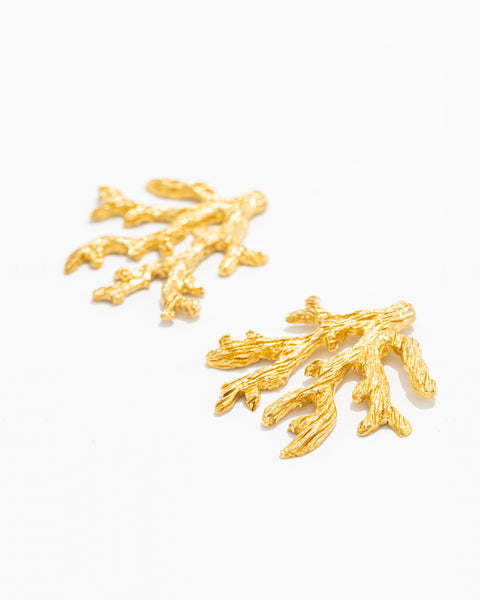Brincos Coral Forma
