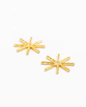 Carregar imagem no visualizador da galeria, Brincos Estrelas Esculpidas
