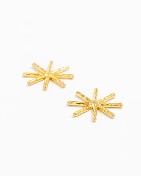 Brincos Estrelas Esculpidas