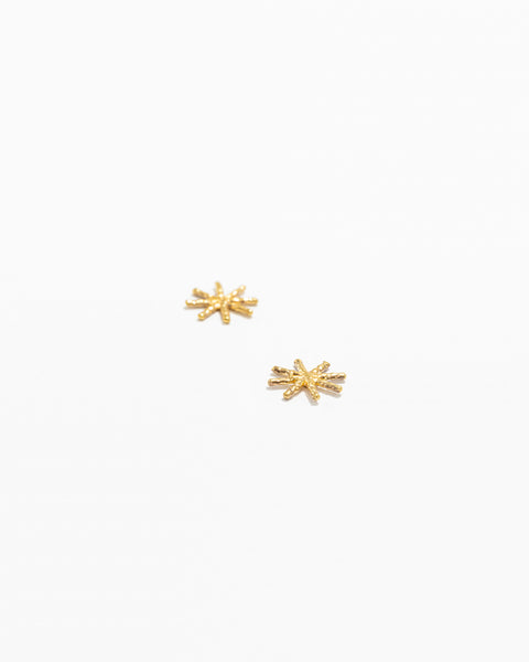 Brincos Estrela Mini