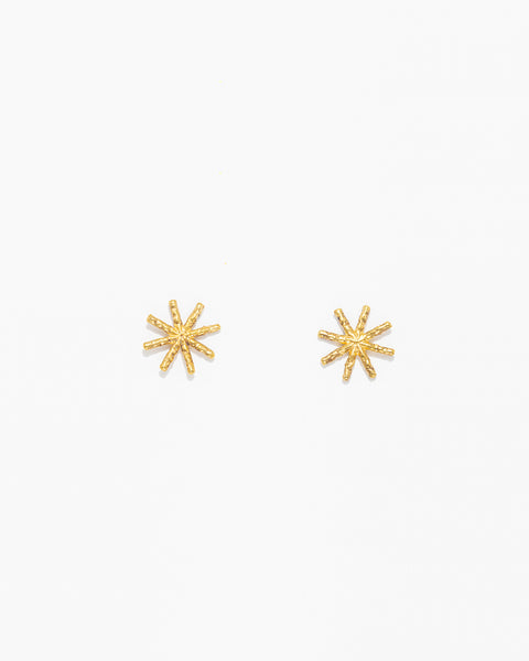 Brincos Estrela Mini