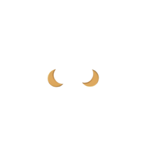 Load image into Gallery viewer, Moon Earrings
