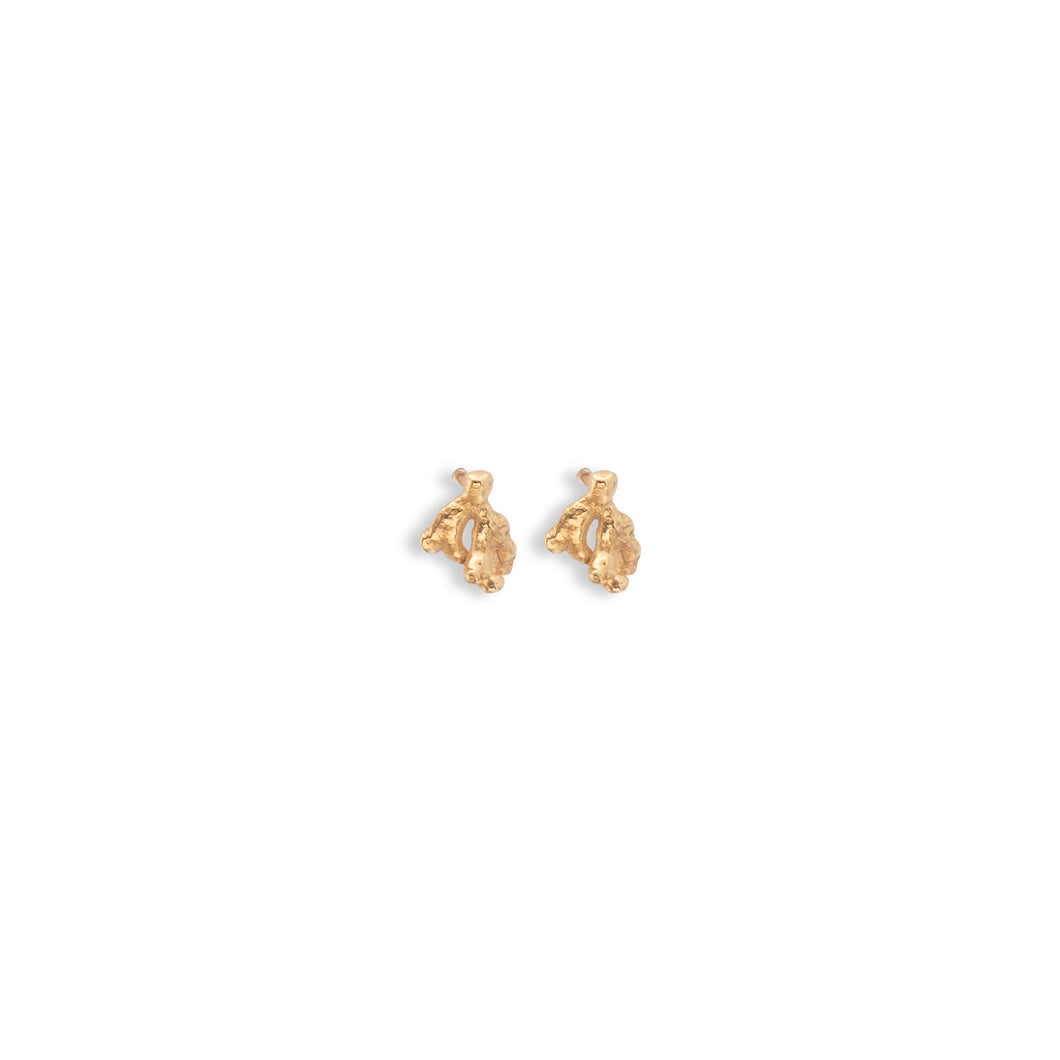 Small Coral Reef Earrings