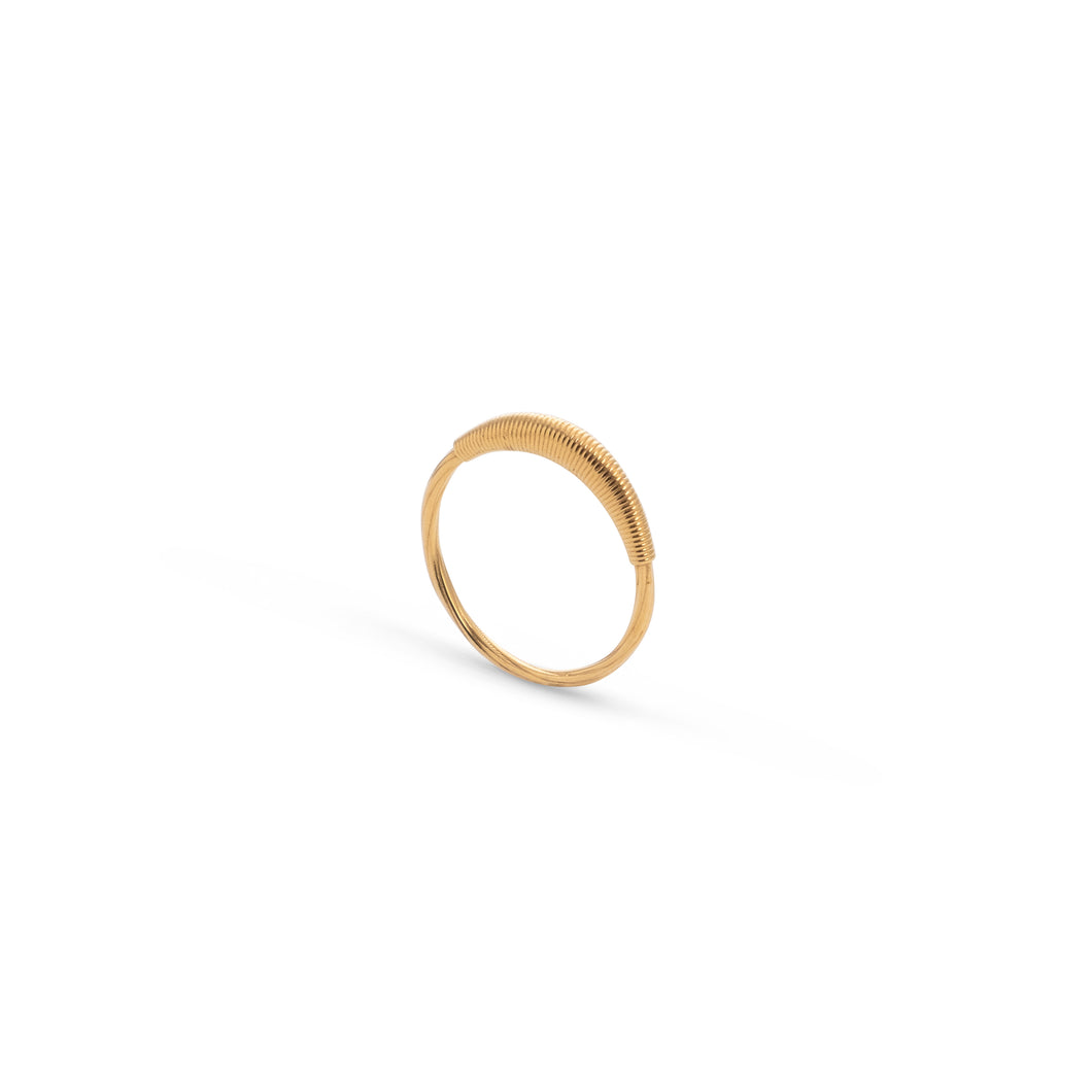 Elevated Ring