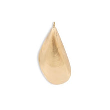 Carregar imagem no visualizador da galeria, Mussel Pendant
